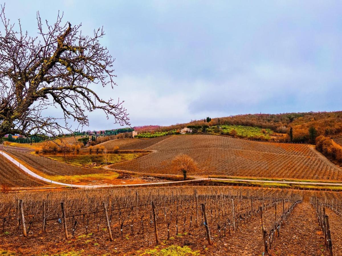 Locanda Podere Le Vigne Radda in Chianti Exteriér fotografie