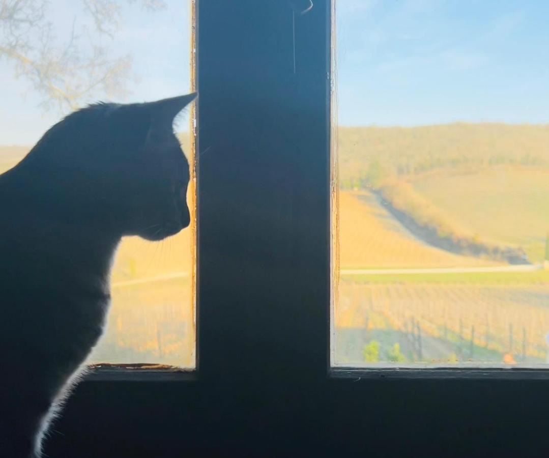 Locanda Podere Le Vigne Radda in Chianti Exteriér fotografie