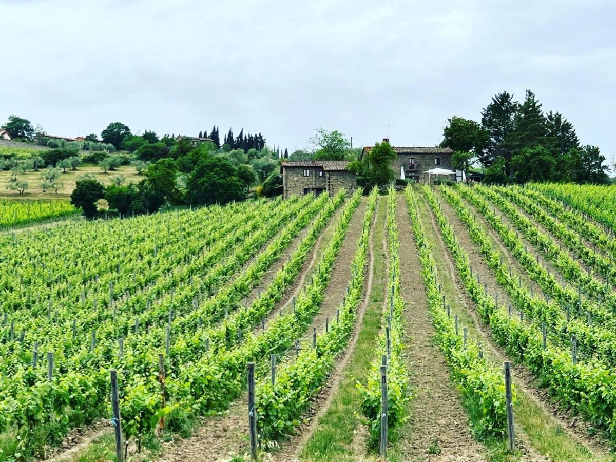 Locanda Podere Le Vigne Radda in Chianti Exteriér fotografie